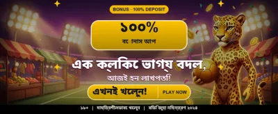 VIP Taka 777 গেমপ্লে ইন্টারফেস