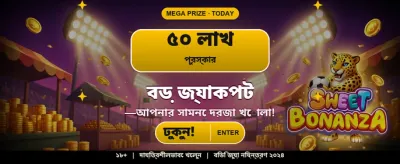 Vip Taka 777 গেমিং ইন্টারফেস